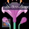 6T体育 logo